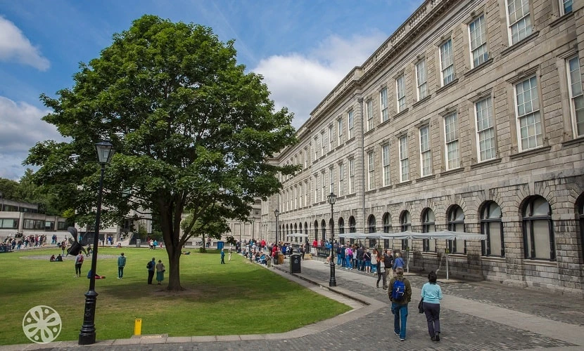 Emerald Cultural Institute Trinity College