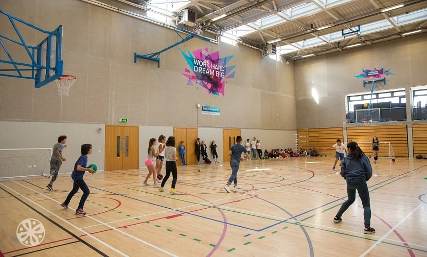 Emerald Cultural Institute Trinity College