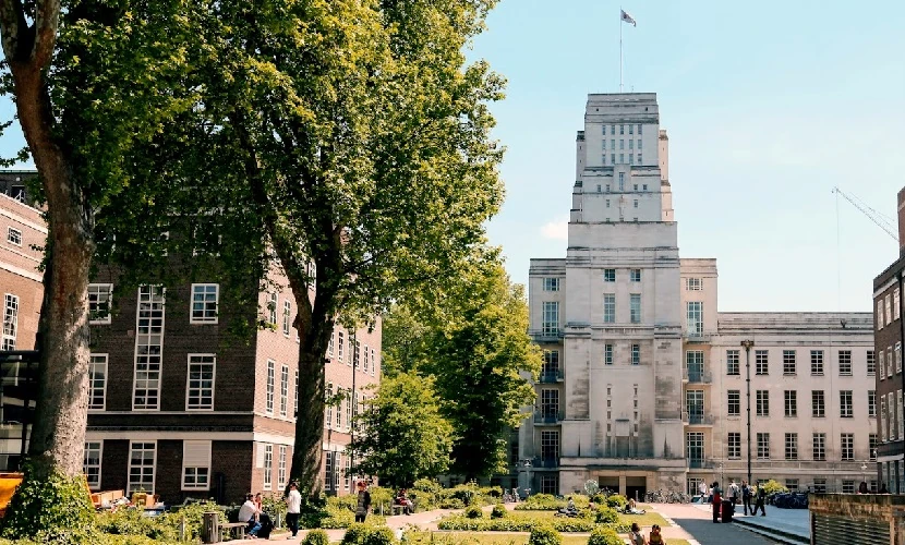 The London School of English Young Adults