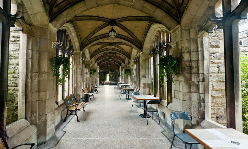 University of Toronto İngilizce